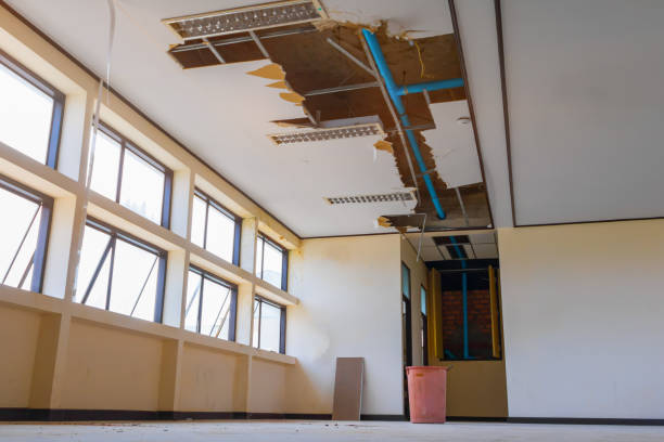 Best Flood restoration services  in Ahoskie, NC