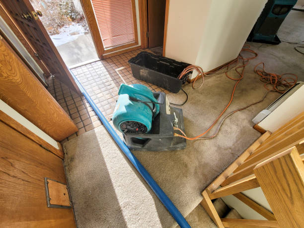  Ahoskie, NC Water damage restoration Pros