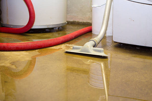 Best Basement water damage restoration  in Ahoskie, NC
