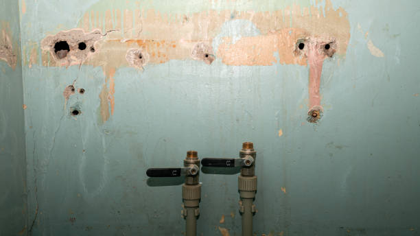 Best Emergency water damage restoration  in Ahoskie, NC